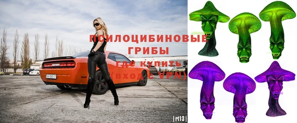 спиды Зерноград