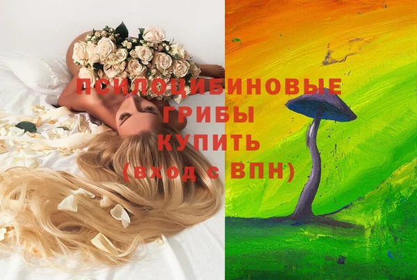 спиды Зерноград
